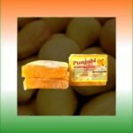 Mango | Aam Papad | 40g Pack